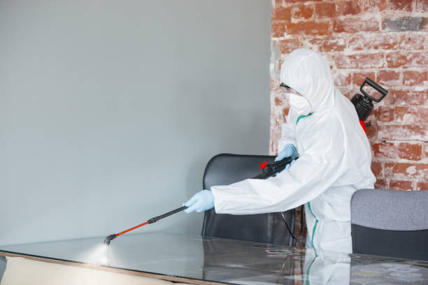 Why You Should Choose Our Mold Remediation Services in Verona, WI