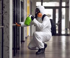 Forensic Mold Investigation in Verona, WI